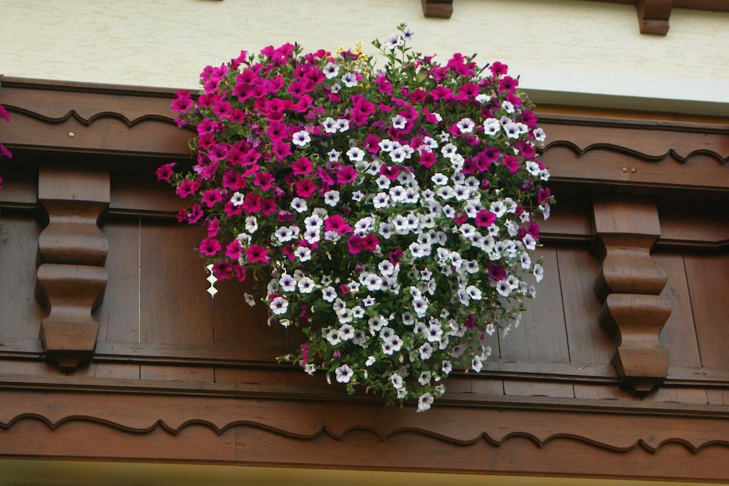 Gaestehaus Kuebler Exteriör bild